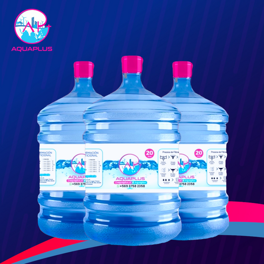 PACK 3 BIDONES DE 20 LITROS (incluye envase retornable)